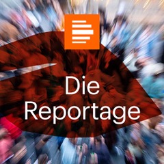 DLF Reportage